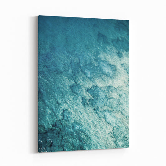 CORAL REEF FROM ABOVE