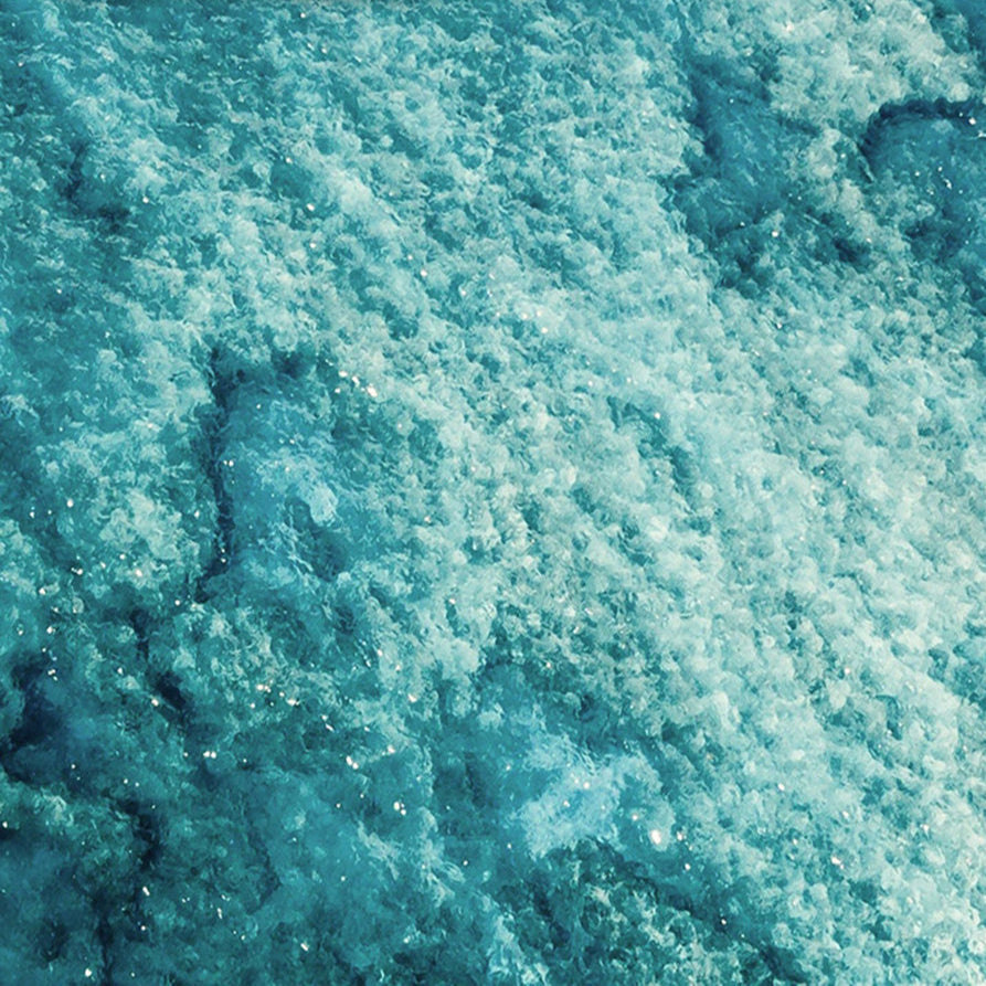 CORAL REEF FROM ABOVE